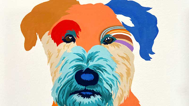 Dog Portrait by Chris Chun