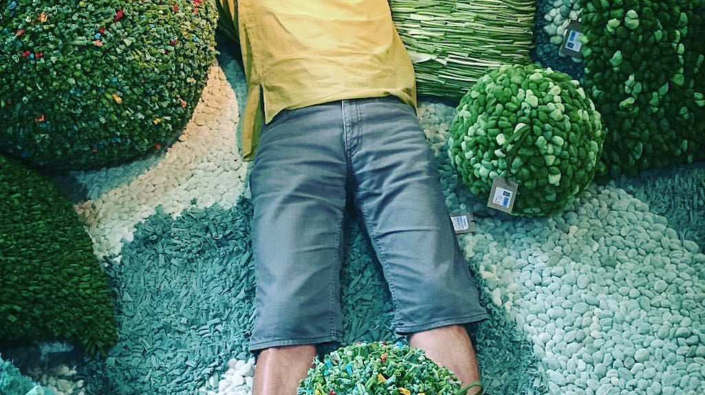 The Uplifting Energy of Chartreuse