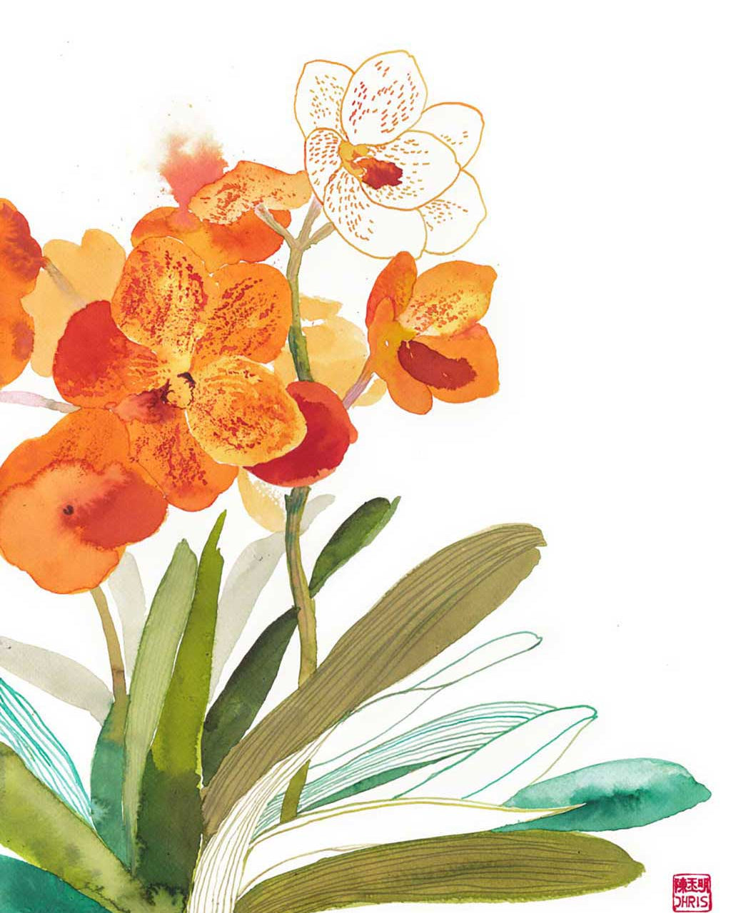 Orchid Art by Chris Chun