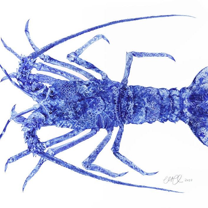 Southern Rock Lobster Art Print by Artist Chris Chun