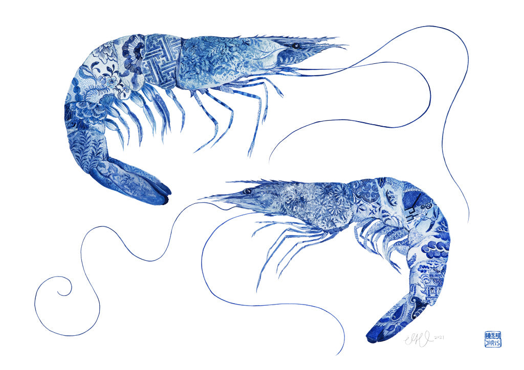 'Tang and Willow' Prawn Fine Art Print by Artist Chris Chun. Willow inspired.