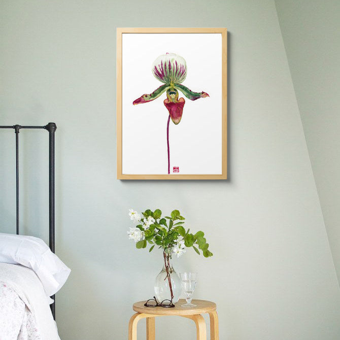 Paphiopedilum Callosum Orchid Print on Bamboo Paper