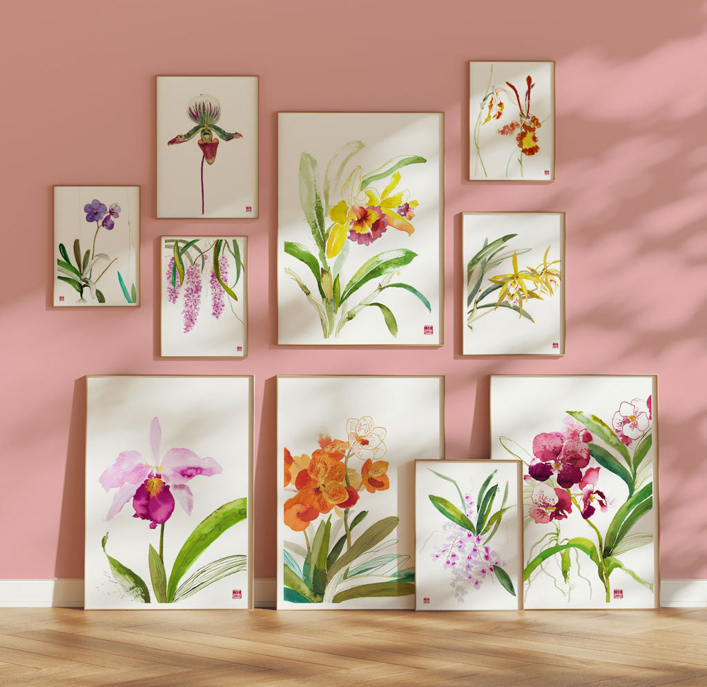 Orchid Prints by Artist Chris Chun