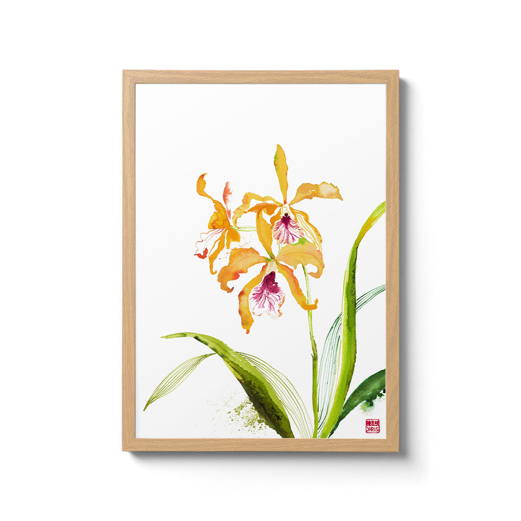 ChrisChun_BlcKeoweeXSchmSplendida_OakFrame