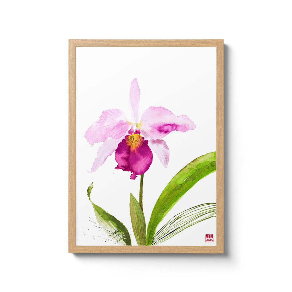 ChrisChun_CattleyaTrianae_OakFrame_II