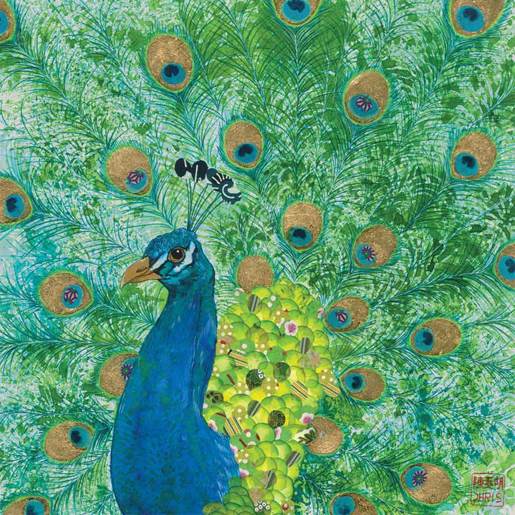 Peacock Fine Art Print by Artist Chris Chun