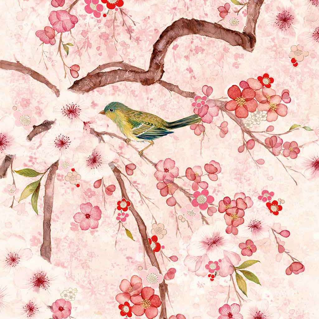 Sakura Fine Art Print by Artist Chris Chun
