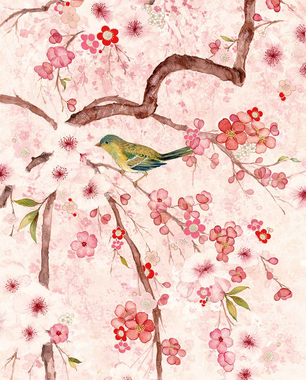 Sakura Fine Art Print by Artist Chris Chun