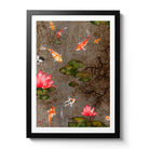 Koi Fish Fine Art Prints and Wall Decor by Australian Chinese Artist Chris Chun. Add beauty and positive feng shui to the home with Tea Garden.
