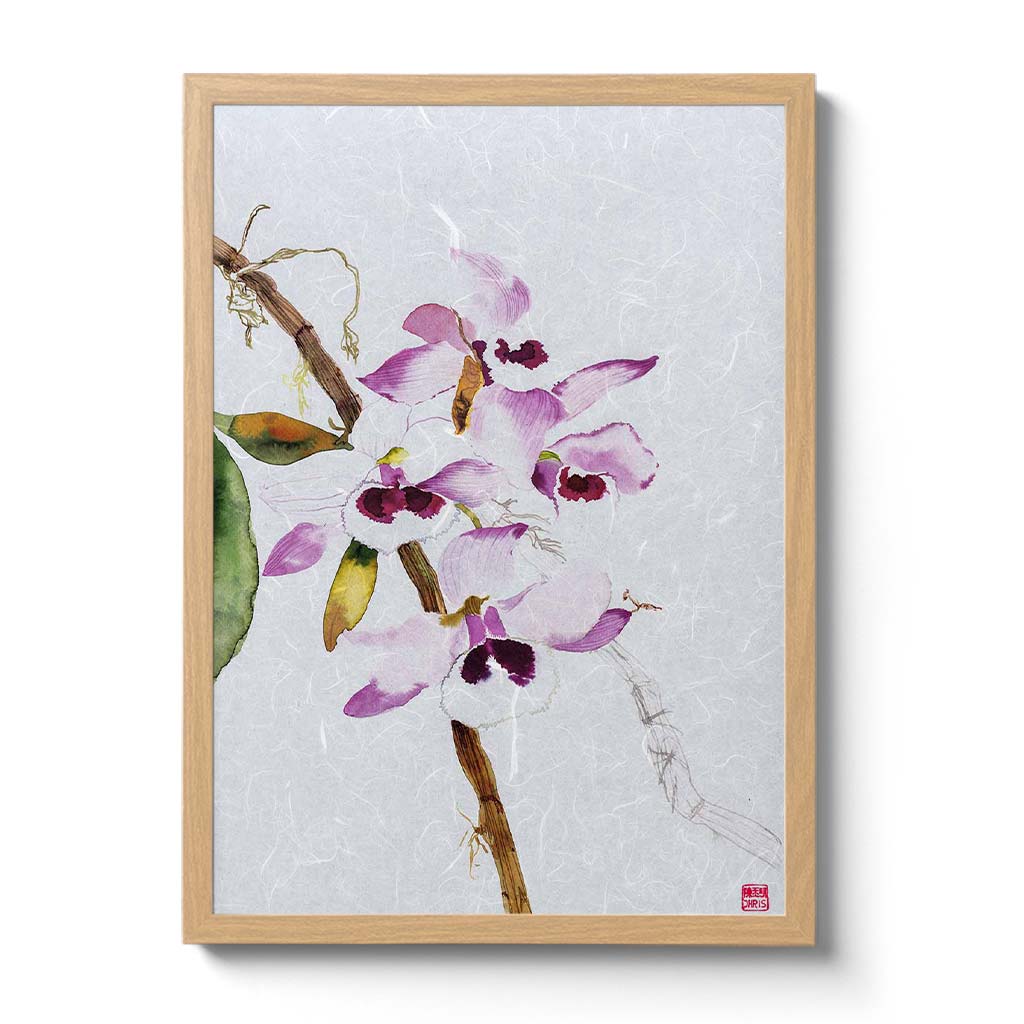 Dendrobium Parishii Orchid Fine Art Print by artist Chris Chun. Archival Print on Awagami Handcrafted Unryu Paper. 