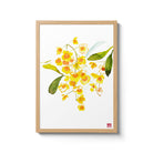 ChrisChun_Dendrobiumlindleyi_OakFrame_II