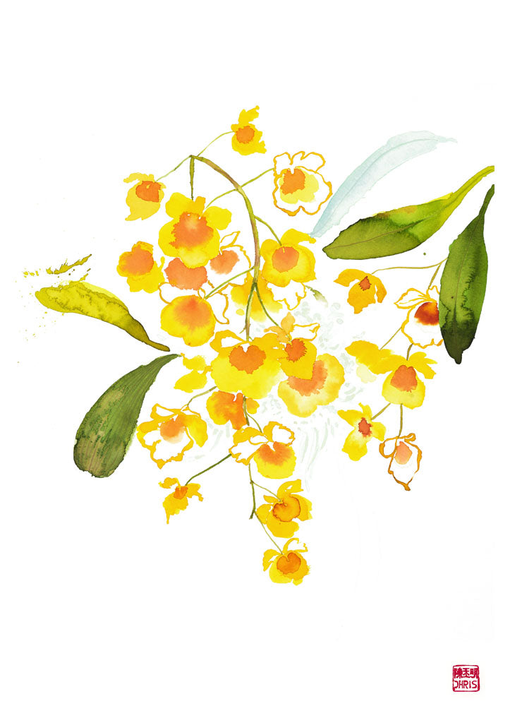 ChrisChun_Dendrobiumlindleyi_Unframed_II