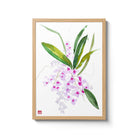 ChrisChun_IonopsisUtricularioides_OakFrame_II