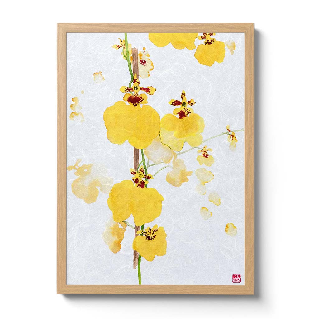 Oncidium Sweet Sugar Orchid Fine Art Print by artist Chris Chun. Archival Print on Awagami Handcrafted Unryu Paper. 