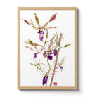 Orchid Fine Art Prints by Artist Chris Chun