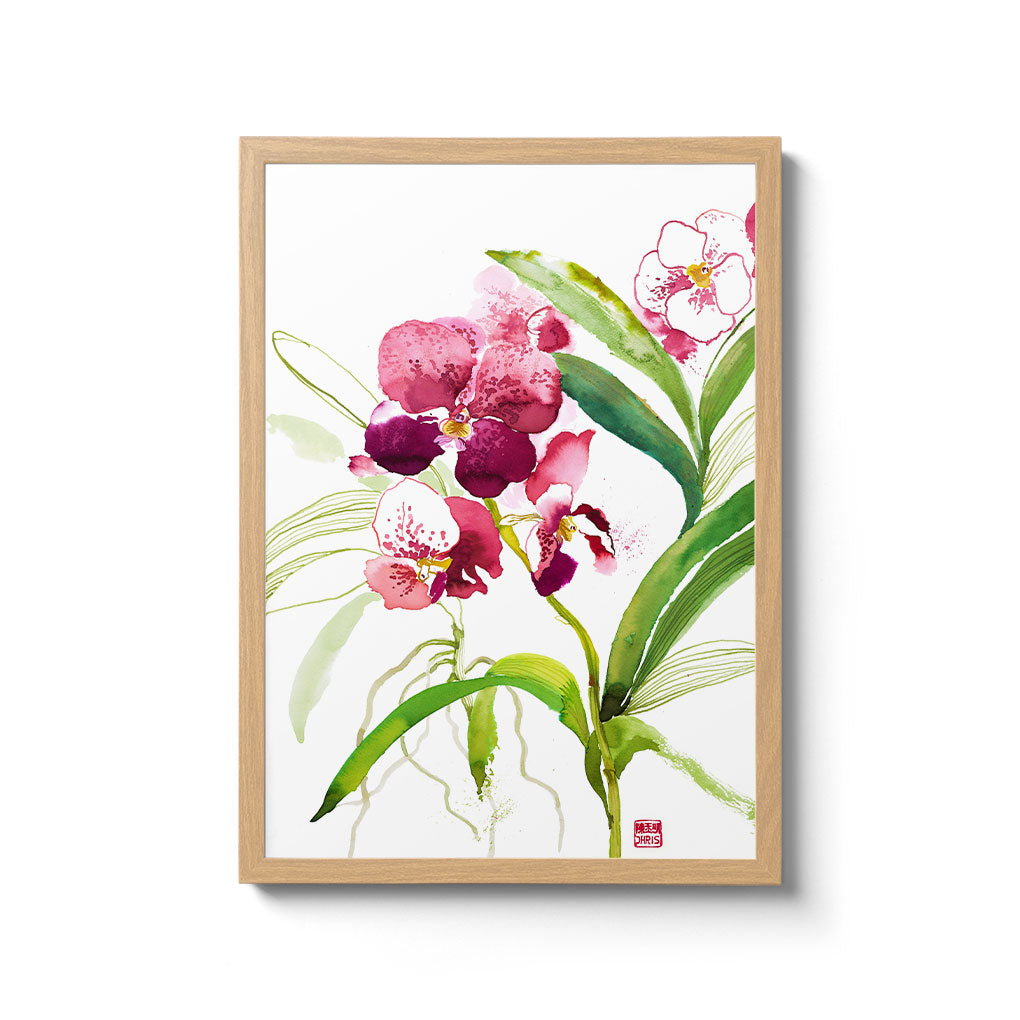 ChrisChun_Orchidaceae_OakFrame_II