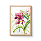 ChrisChun_Orchidaceae_OakFrame_II
