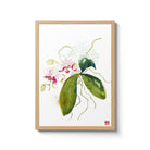 ChrisChun_Phalaenopsis_OakFrame_II