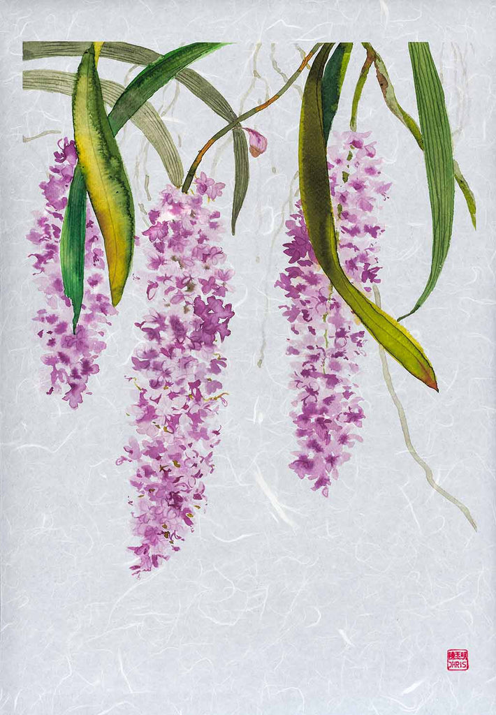 Rhynchostylis Retusa Orchid Fine Art Print by artist Chris Chun. Archival Print on Awagami Handcrafted Unryu Paper.