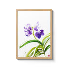 ChrisChun_VandaSansai_OakFrame_II