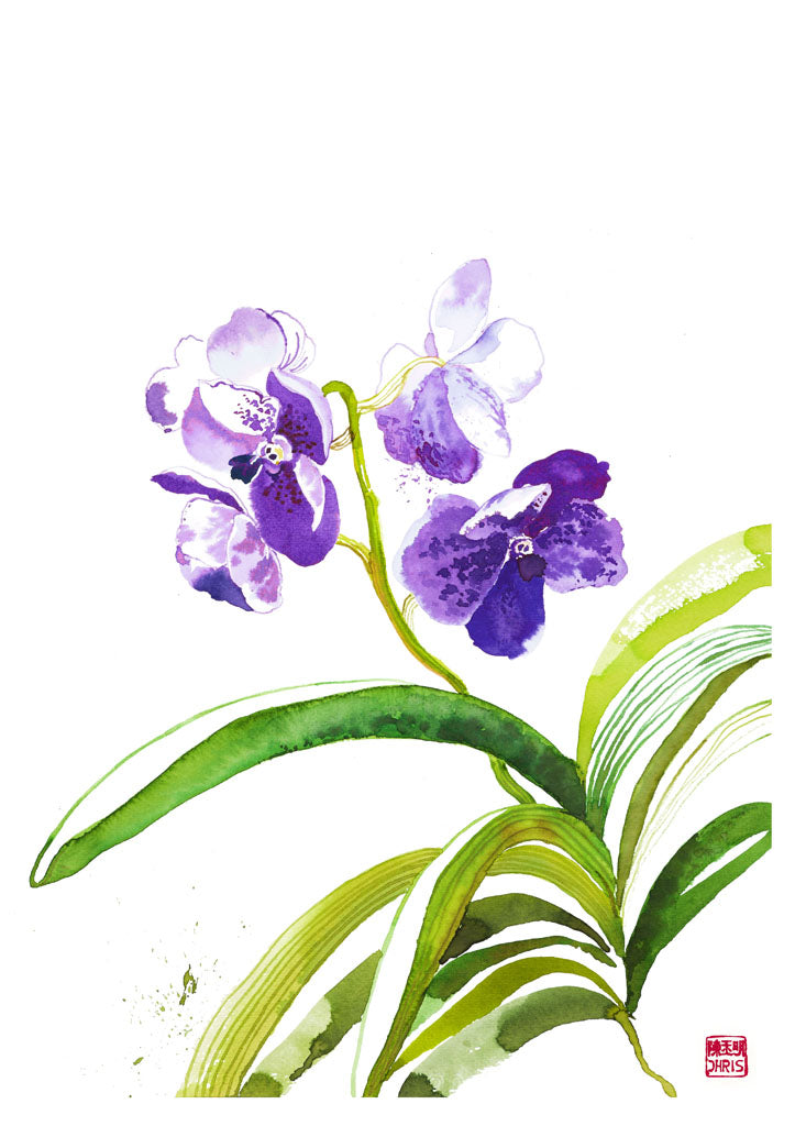 ChrisChun_VandaSansai_Unframed