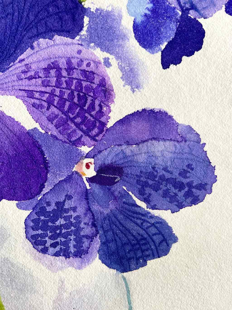 Original Ink Painting of the Purple Cattelya Orchid by Artist Chris Chun