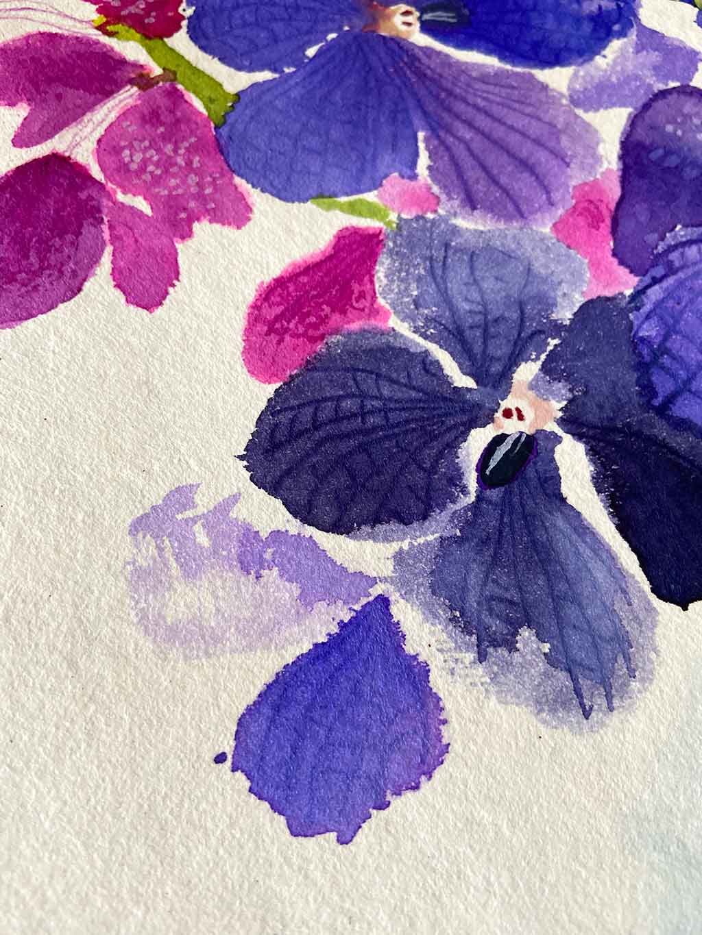 Original Ink Painting of the Purple Cattelya Orchid by Artist Chris Chun