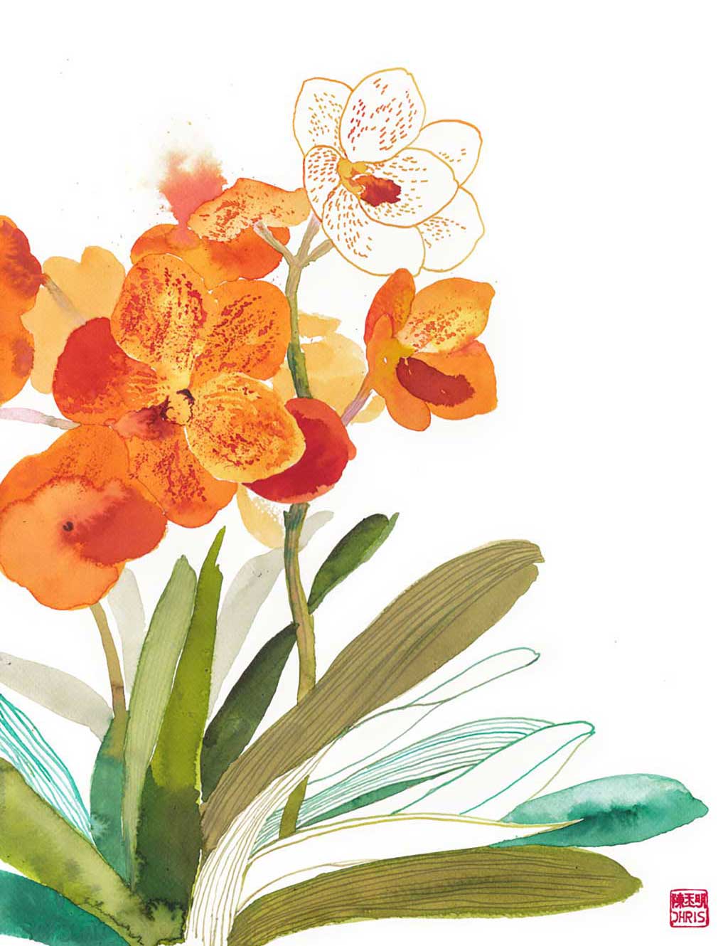 Orchid Art by Chris Chun