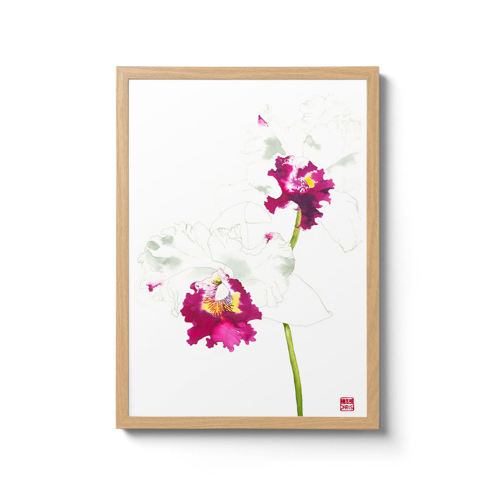 Cattleya Blc. Memtiang-Lim Orchid Fine Art Print by Artist Chris Chun. This white orchid is printed on Bamboo Paper.