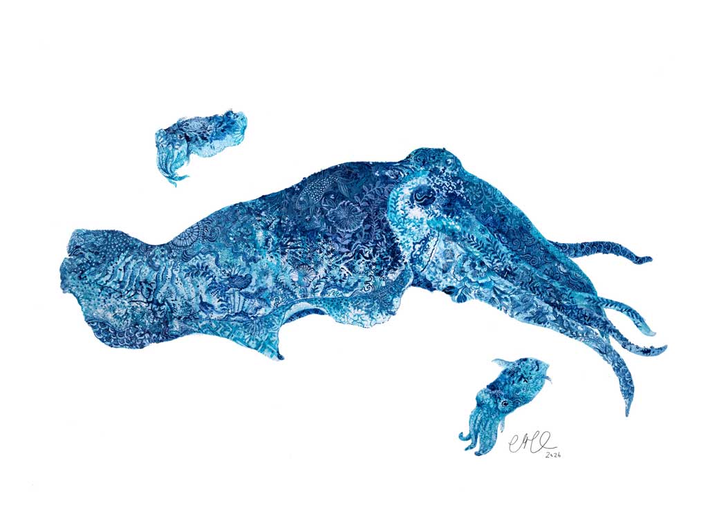 Blue painting of a cuttlefish on a white background