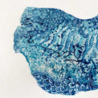 Close-up of a blue and white patterned cuttlefish