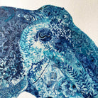 Close-up of a blue and white patterned cuttlefish