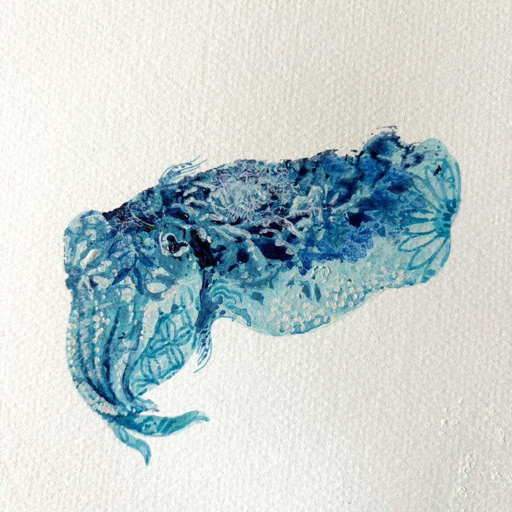 Baby Cuttlefish painting