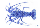 Southern Rock Lobster Art Print by Artist Chris Chun