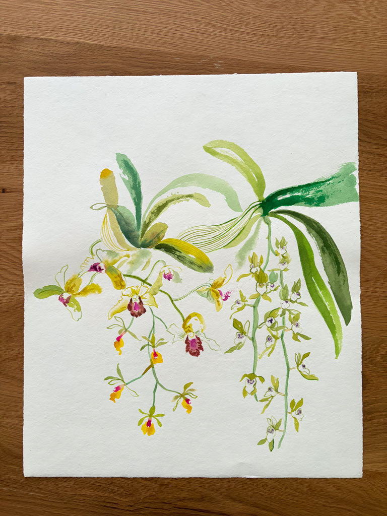 Painting of orchids on a white background