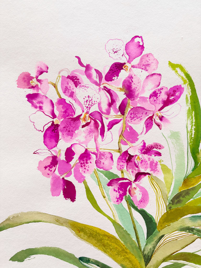 Detail of original ink painting of orchids