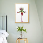 Paphiopedilum Callosum Orchid Print on Bamboo Paper