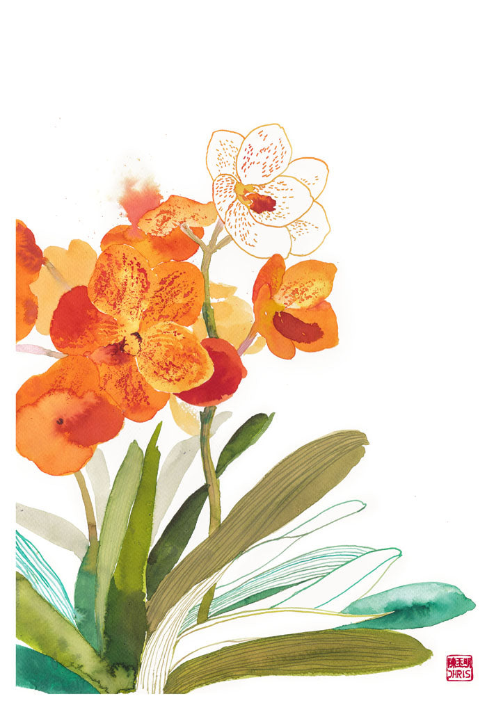 Vanda Betty Mae Steel Orchid Fine Art Print by artist Chris Chun.