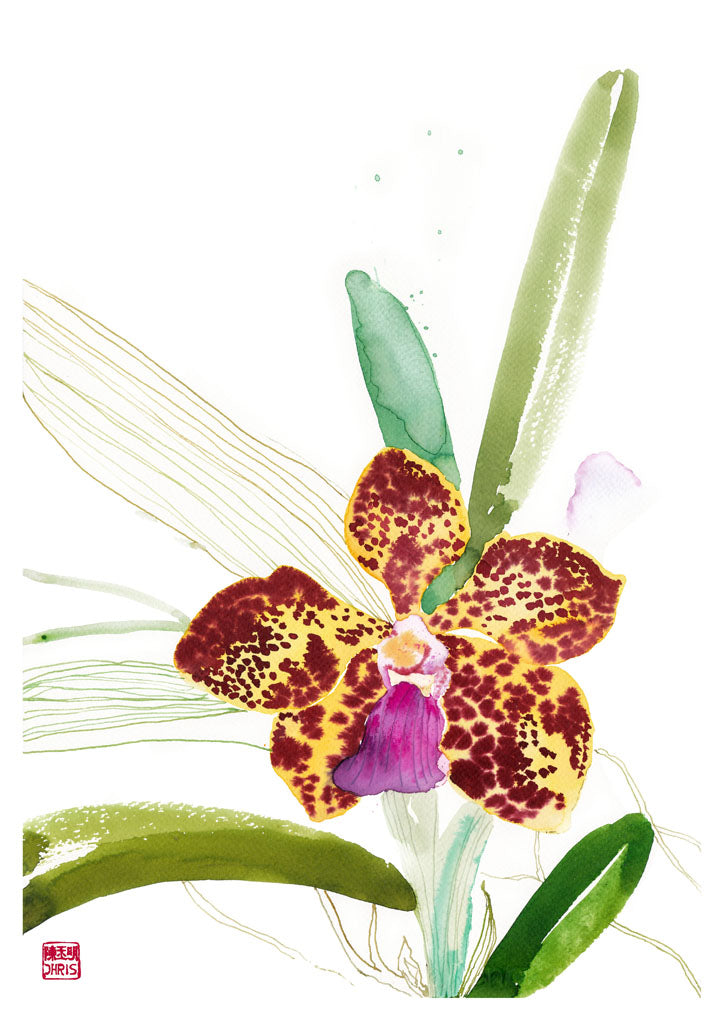 Vanda Kultana Fragrance' Orchid Fine Art Print by Chris Chun