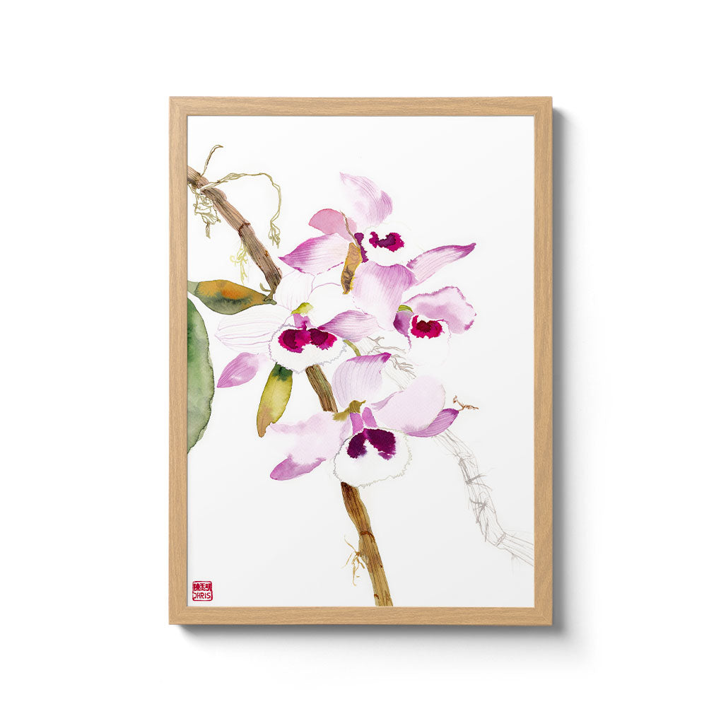 Dendrobium Parishii Orchid Print on Bamboo Paper