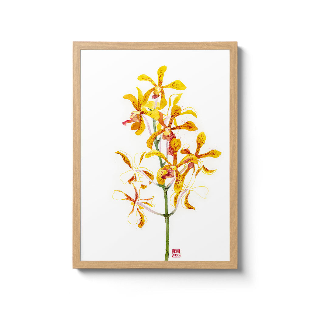 Mokara Jairak Gold Spot' Orchid Fine Art Print by Chris Chun