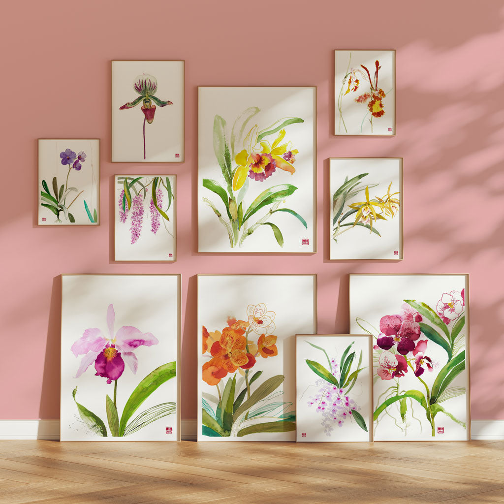 Orchid Prints by Artist Chris Chun