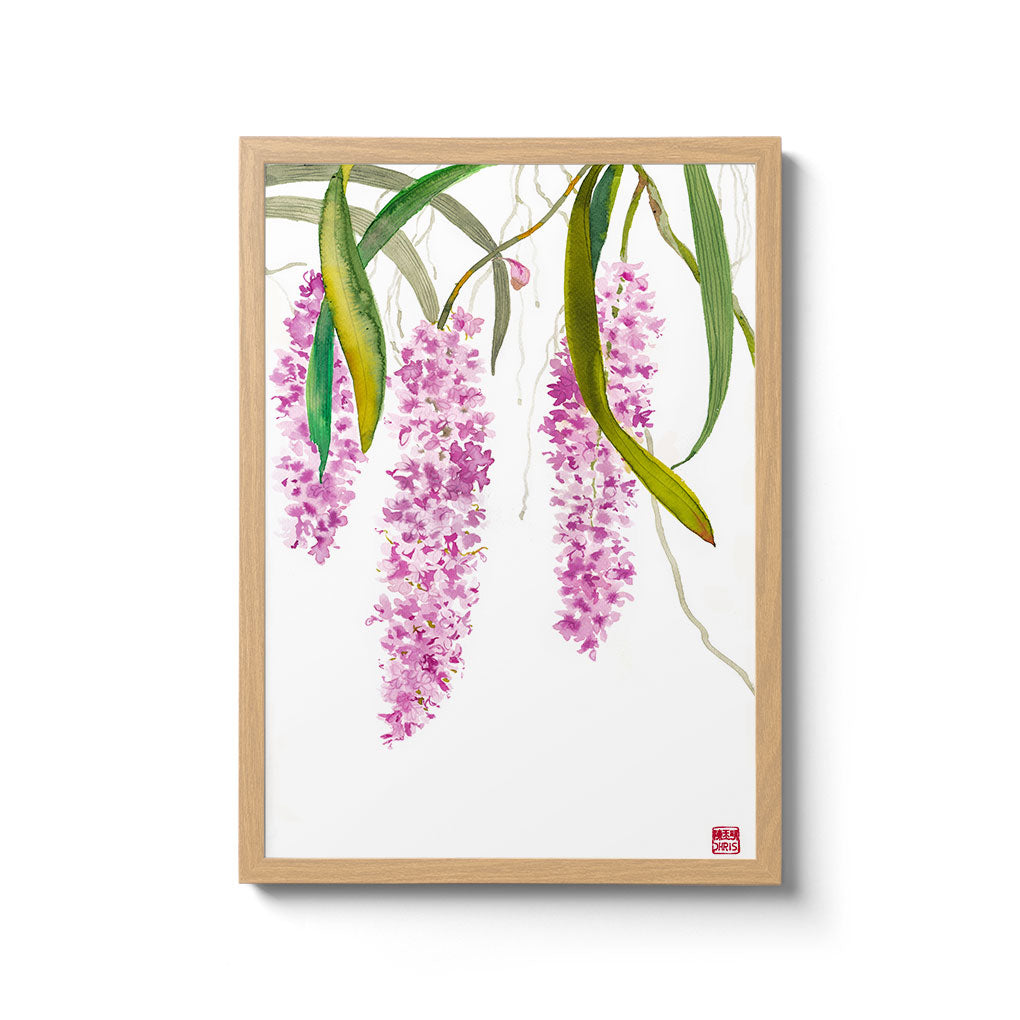 Rhynchostylis Retusa Orchid Fine Art Print by artist Chris Chun. Archival Print on eco-friendly Bamboo Paper.