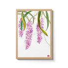 Rhynchostylis Retusa Orchid Fine Art Print by artist Chris Chun. Archival Print on eco-friendly Bamboo Paper.