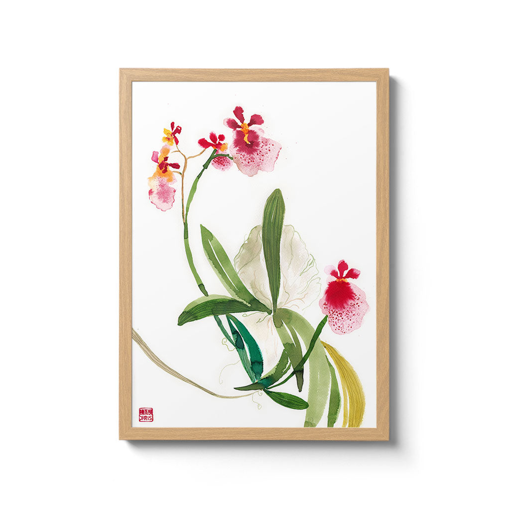 Tolumnia Hybrid Orchid Print by Chris Chun. Bamboo Paper