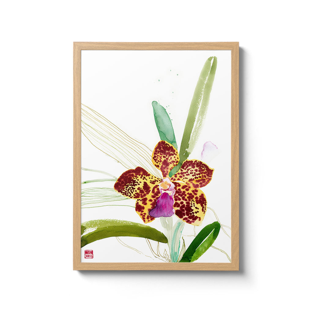 Vanda Kultana Fragrance Orchid Fine Art Print by artist Chris Chun. Archival Print on Bamboo Paper. 