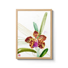 Vanda Kultana Fragrance Orchid Fine Art Print by artist Chris Chun. Archival Print on Bamboo Paper. 