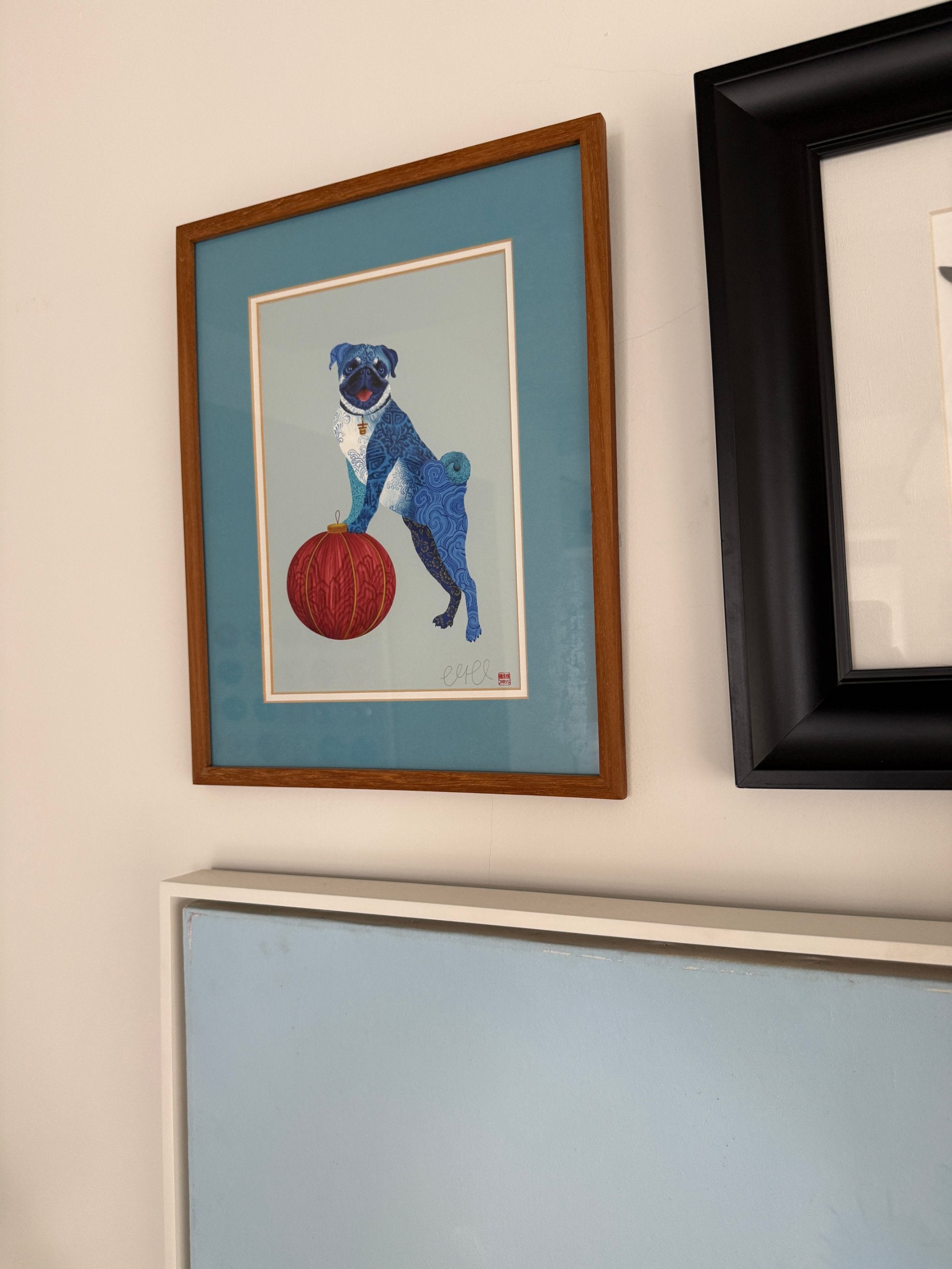 Chris Chun blue pug print with a red lantern, framed on a customer wall