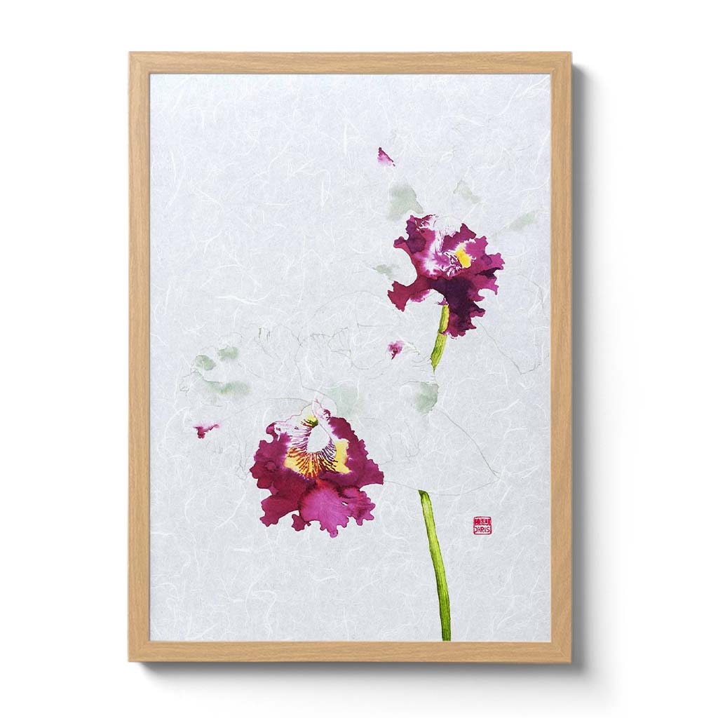 Cattleya Blc. Memtiang-Lim Orchid Fine Art Print by Artist Chris Chun. This white orchid is printed on handcrafted Japanese Unryu Paper.