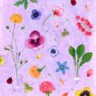 Herb Garden Fine Art Print by Artist Chris Chun